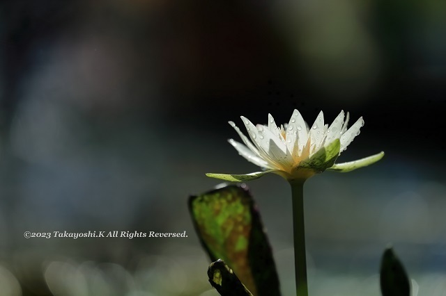 1DX_0861.JPG