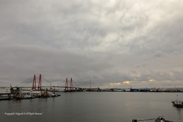 5D4_0002.jpg