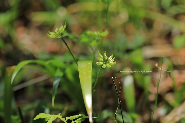 5D4_0127.jpg