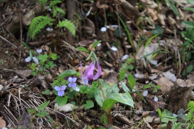 5D4_0277.jpg
