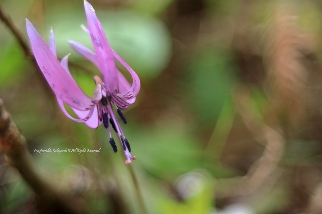 5D4_0283.jpg