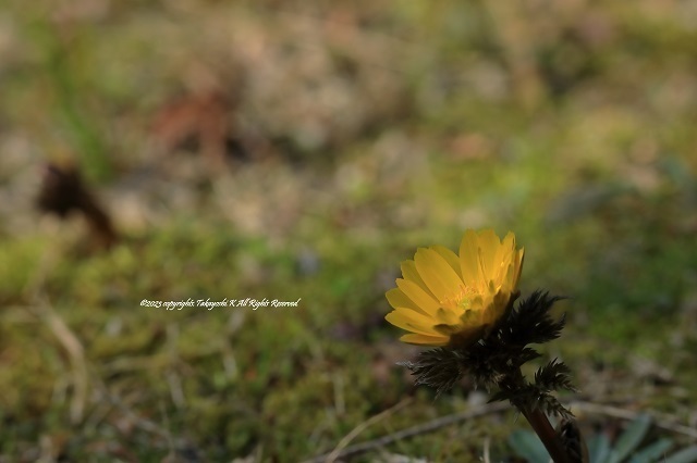 5D4_0400.JPG