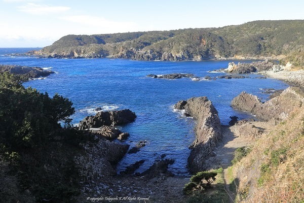 5D4_0721.jpg