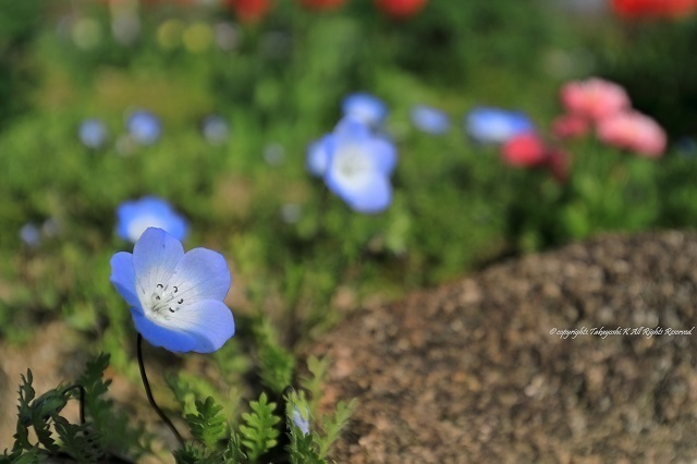 5D4_2048.jpg