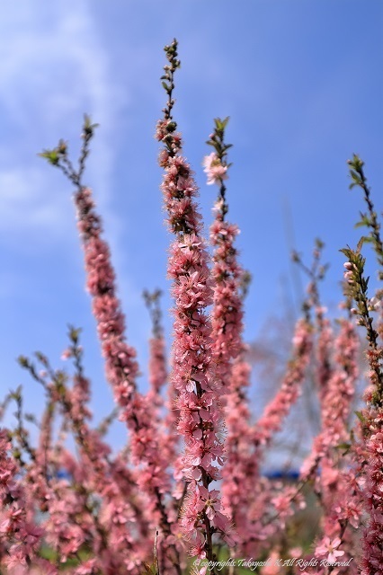 5D4_2055.jpg