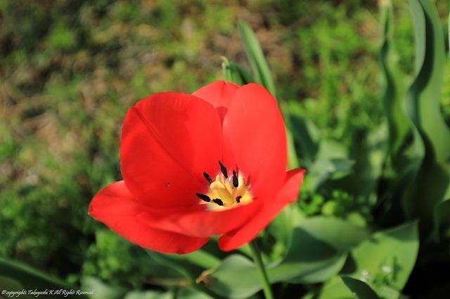 5D4_2060.jpg