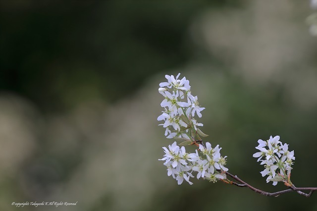 5D4_2103.jpg