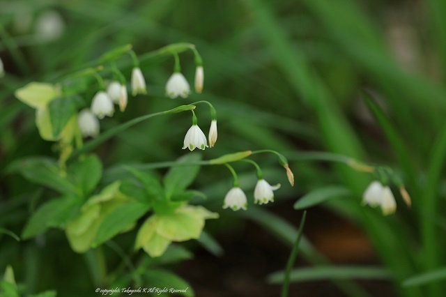 5D4_2292.jpg