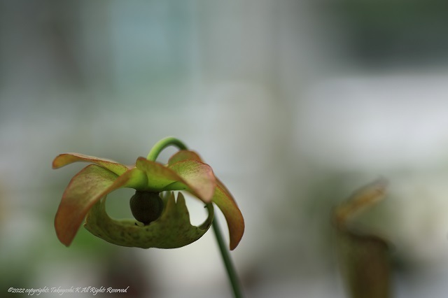 5D4_3444.JPG