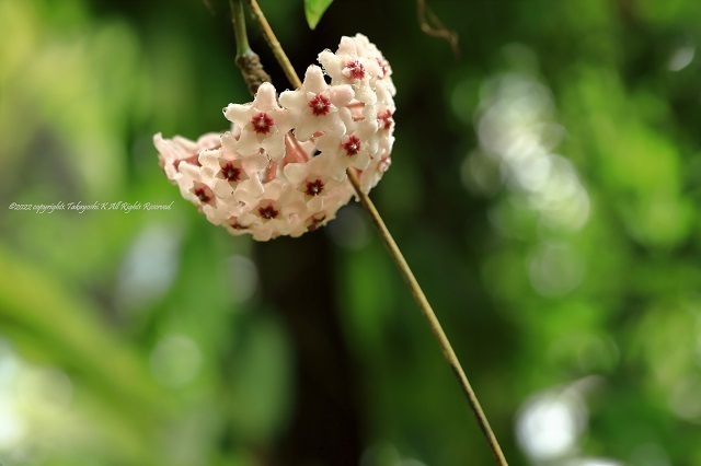 5D4_3502.JPG