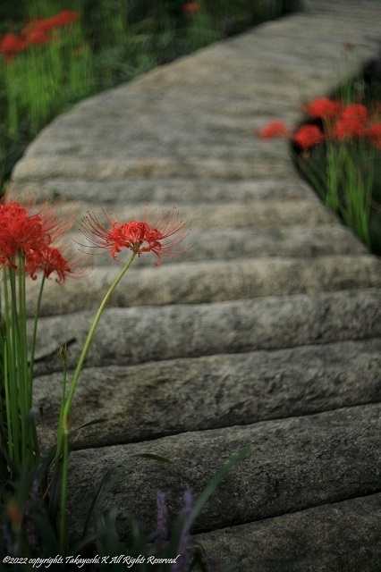 5D4_5759.JPG