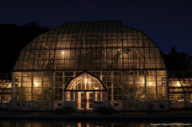 5D4_5953.jpg