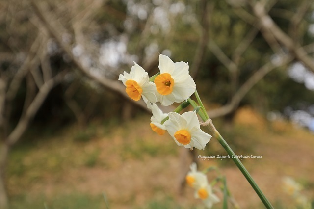 5D4_6493.jpg