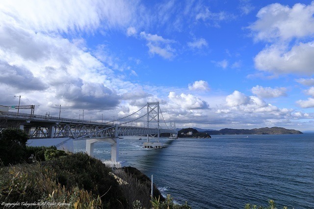 5D4_6558.jpg
