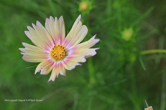 5D4_6819.JPG