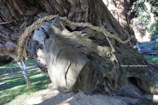 5D4_7025.jpg