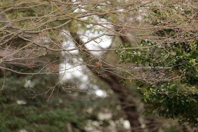 5D4_7318.jpg