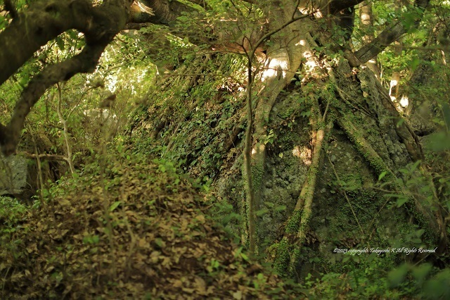 5D4_9214.JPG