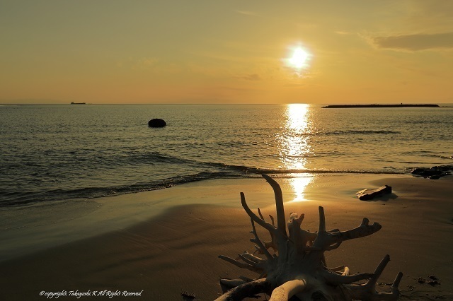 5D4_9230.jpg