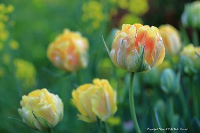 5D4_9799.jpg
