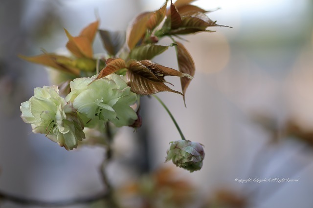 5D4_9829.jpg