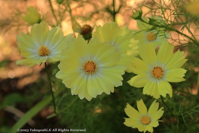 7D2_4056.JPG