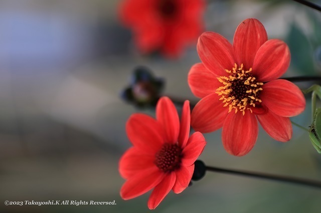 7D2_4194.JPG