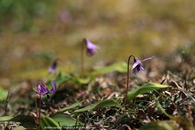 7D2_5516.JPG