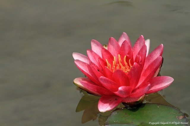 7D__9166.jpg
