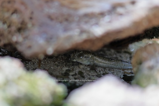 R07_3617.JPG