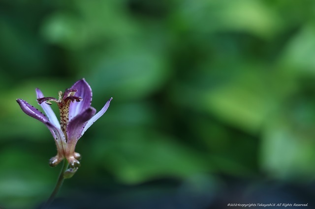 R07_4391.JPG