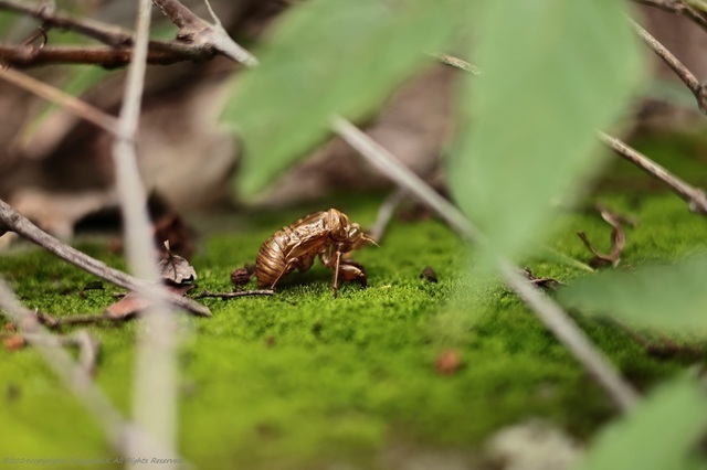 R07_4507.JPG