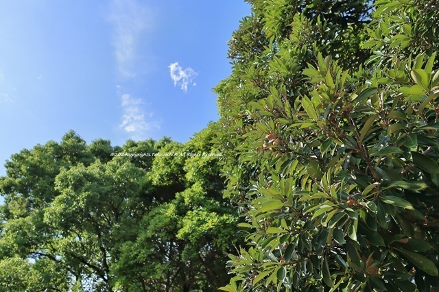 R07_5254.JPG